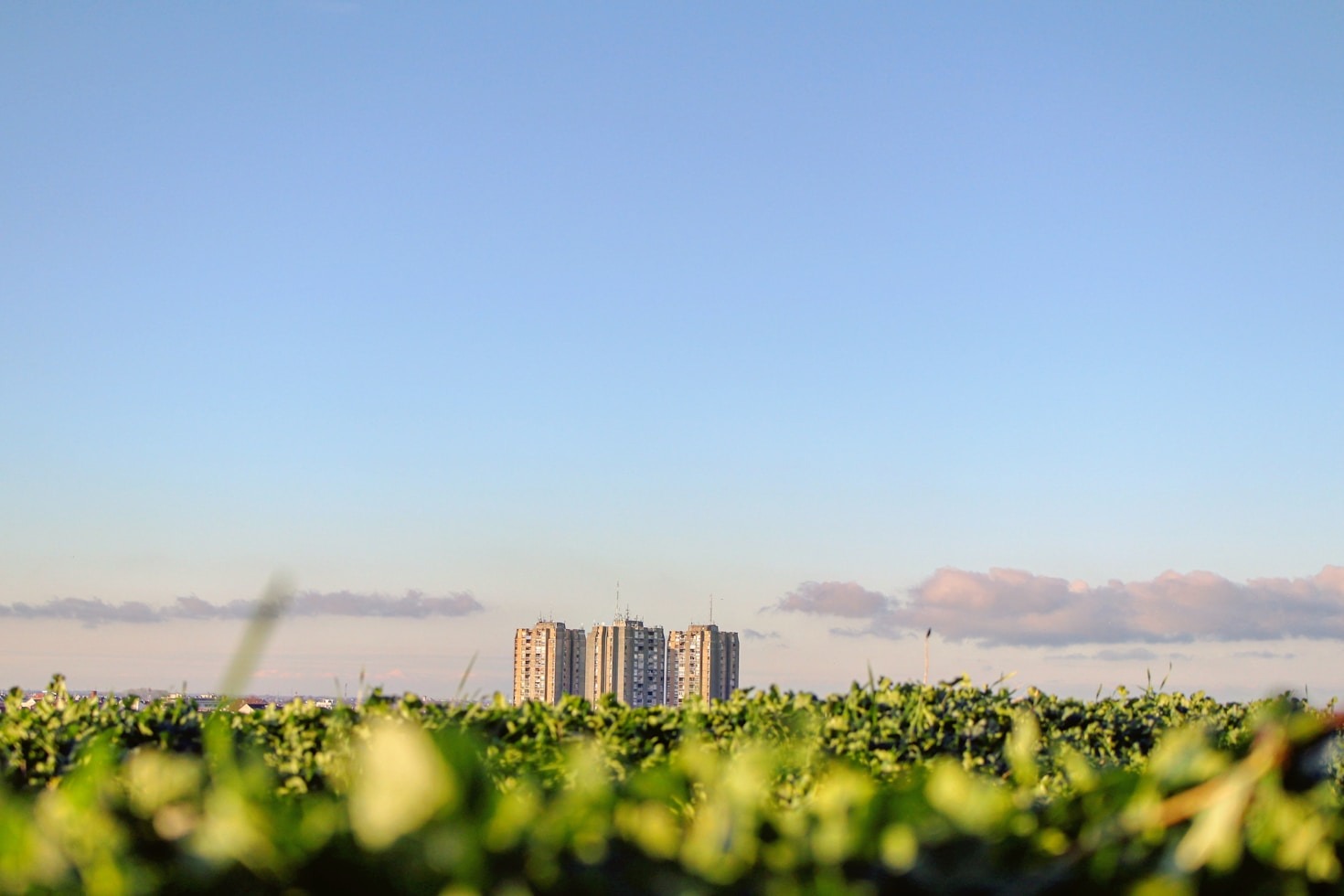 Collaborative Approaches to Large-Scale Property Projects